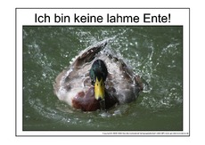 Lahme-Ente-2.pdf